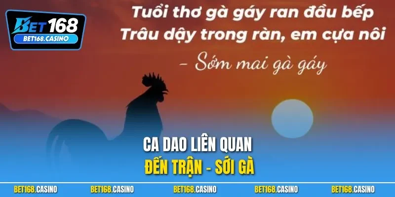 Ca dao liên quan đến trận - sới gà